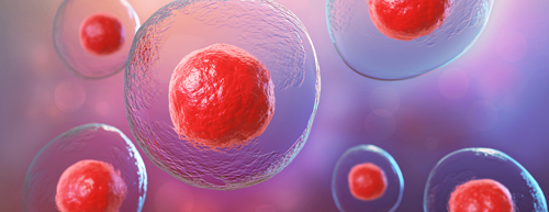 Novas célula para combater o câncer