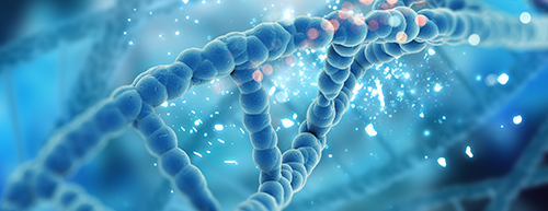 Genes sob controle ?