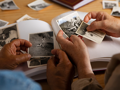 Cérebro e memórias traumáticas