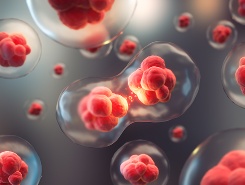 Câncer de pancreas: novas perspectivas terapêuticas