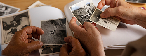 Cérebro e memórias traumáticas