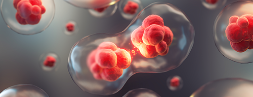 Câncer de pancreas: novas perspectivas terapêuticas