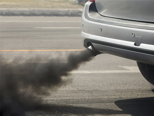 Poluição e osteosporose