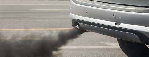 Poluição e osteosporose