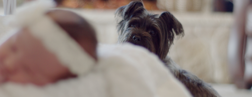 Novas perspectivas para diagnosticar alergias