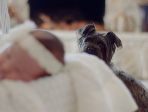 Novas perspectivas para diagnosticar alergias