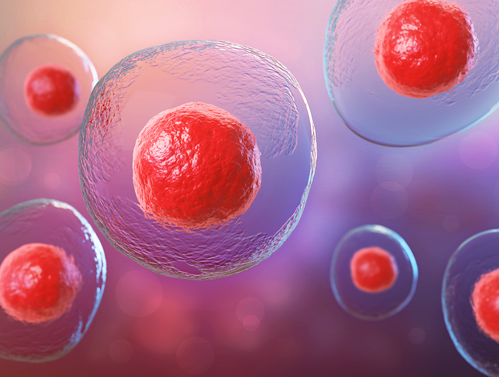 Novas célula para combater o câncer