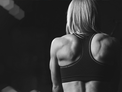 Gel para reconstruir músculos e tecidos