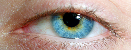 Catarata: gotas em vez de cirurgia?