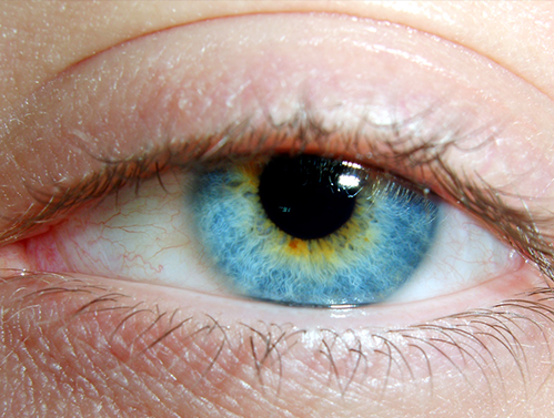 Catarata: gotas em vez de cirurgia?