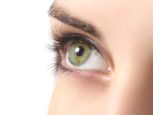 Diagnóstico precoce de Parkinson à vista