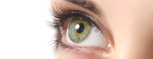 Diagnóstico precoce de Parkinson à vista