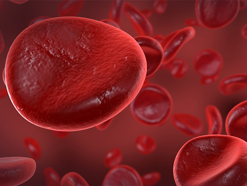 Um só tipo de sangue para todos