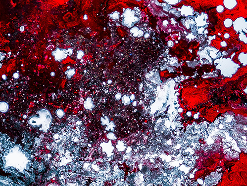 Vasos sanguíneos de laboratório