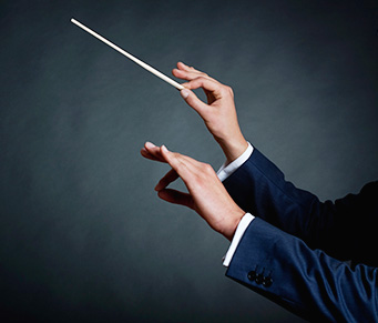 Assim como os pássaros...