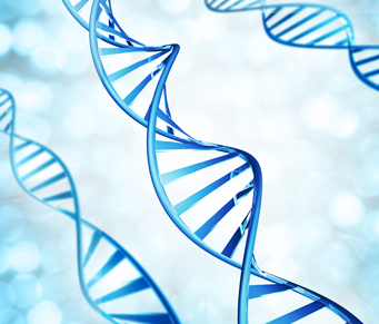 O bilionário genoma humano