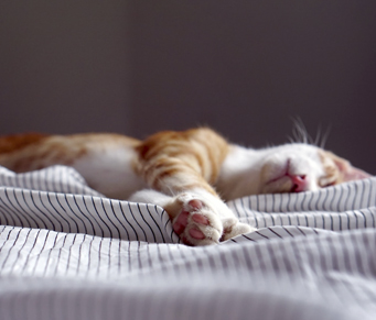 Mudança climática e sono