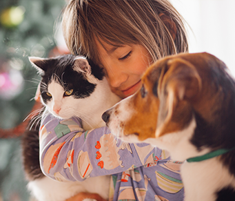 Cães e Gatos: os bons companheiros