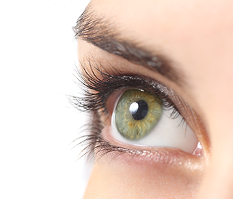 Ilusão de ótica não é “culpa” dos olhos