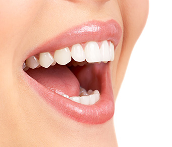 Dentes especializados