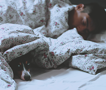 Você prefere o dia ou  a noite?