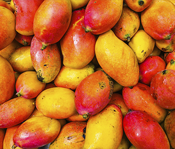 A manga que pode melhorar rugas