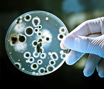 Micróbios no roteiro turístico