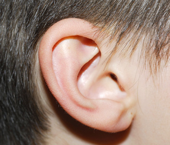 Proteção garantida