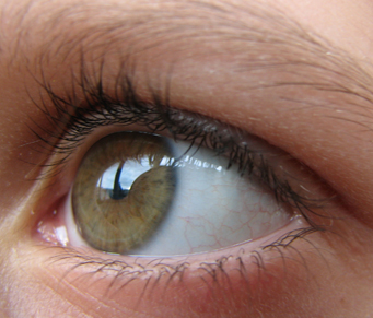 Sobrancelhas preciosas